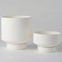 Angus & Celeste Collectors Gro Pot - White (Small) - Plantsmith | Indoor Plants Melbourne